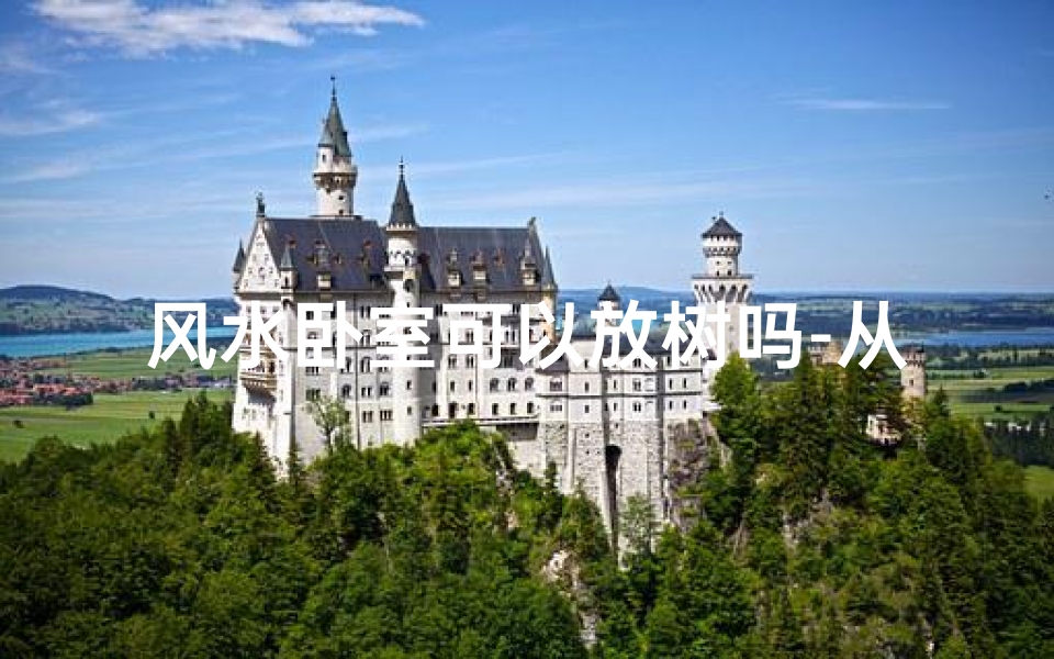 风水卧室可以放树吗-从风水看卧室可以放树吗?