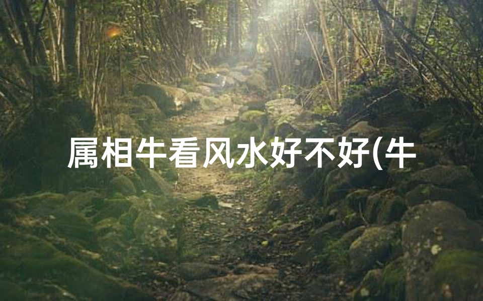 属相牛看风水好不好(牛在风水中的作用牛在风水里起到什么作用)