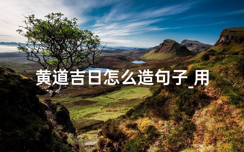 黄道吉日怎么造句子_用黄道吉日造句