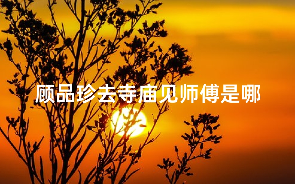 顾品珍去寺庙见师傅是哪一集(云南顾品珍)