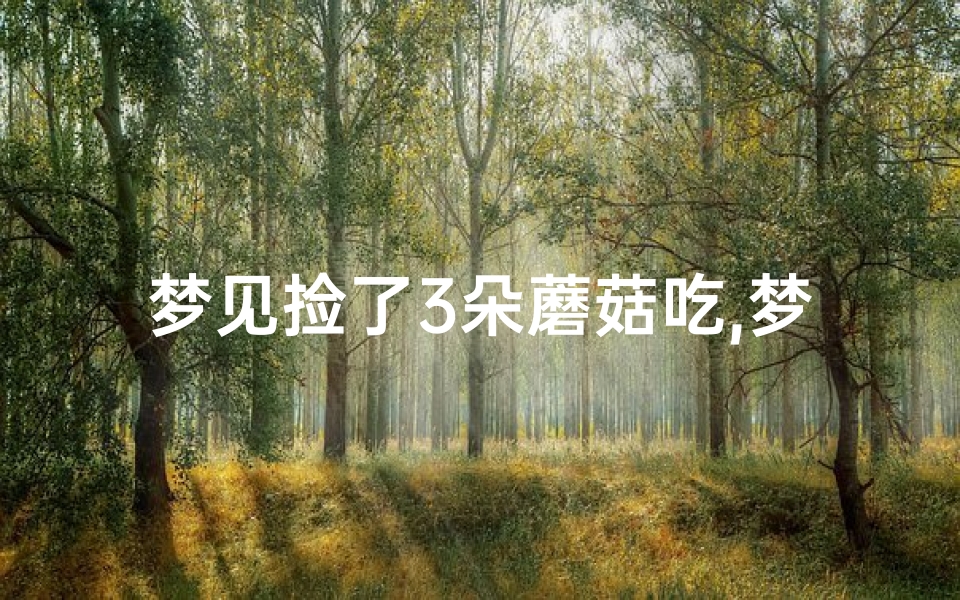 梦见捡了3朵蘑菇吃,梦见捡很多三把菇