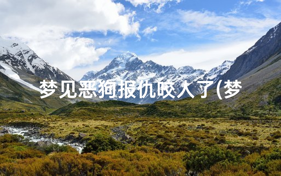 梦见恶狗报仇咬人了(梦见恶狗报仇咬人了怎么回事)