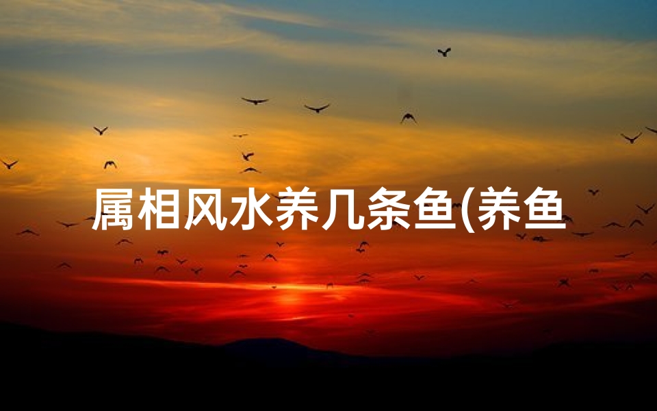 属相风水养几条鱼(养鱼养几条好 )