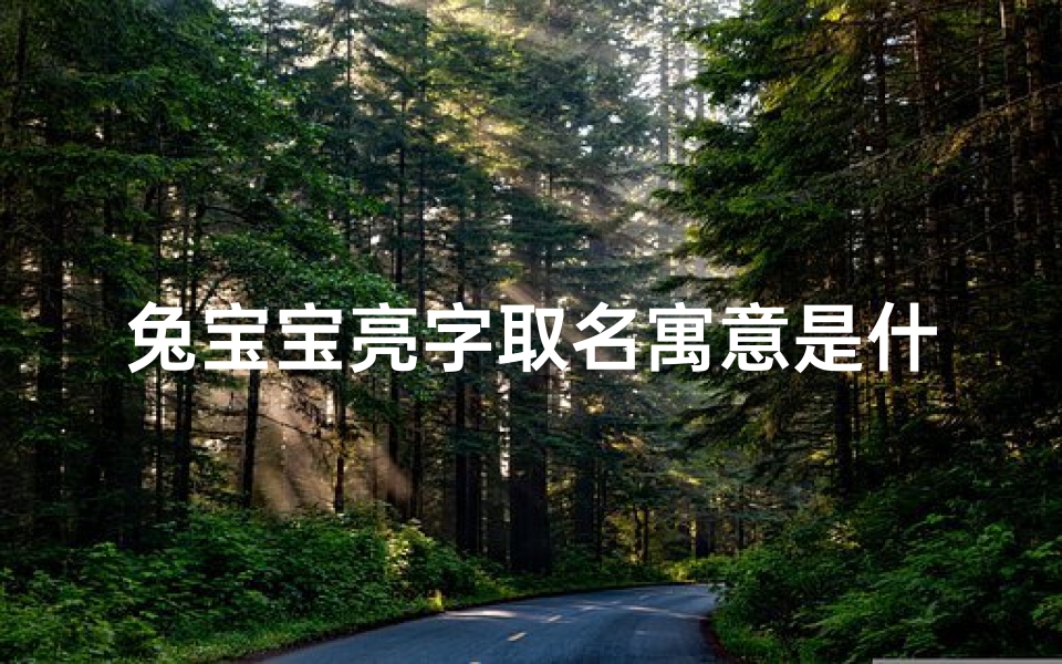 兔宝宝亮字取名寓意是什么意思—《兔宝宝亮字取名,寓意美好寓意何在?》