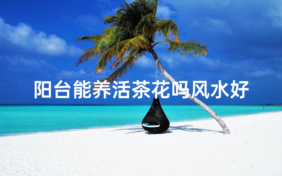 阳台能养活茶花吗风水好吗,阳台养茶花风水解析:适宜吗?