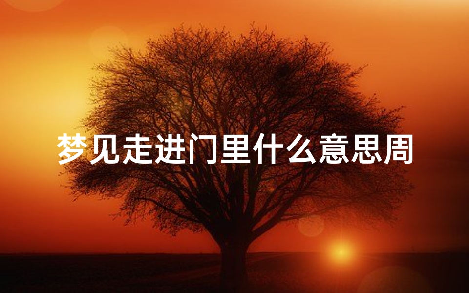 梦见走进门里什么意思周公解梦(梦见门,周公解梦梦到门是什么意思,做梦梦见门好不好)