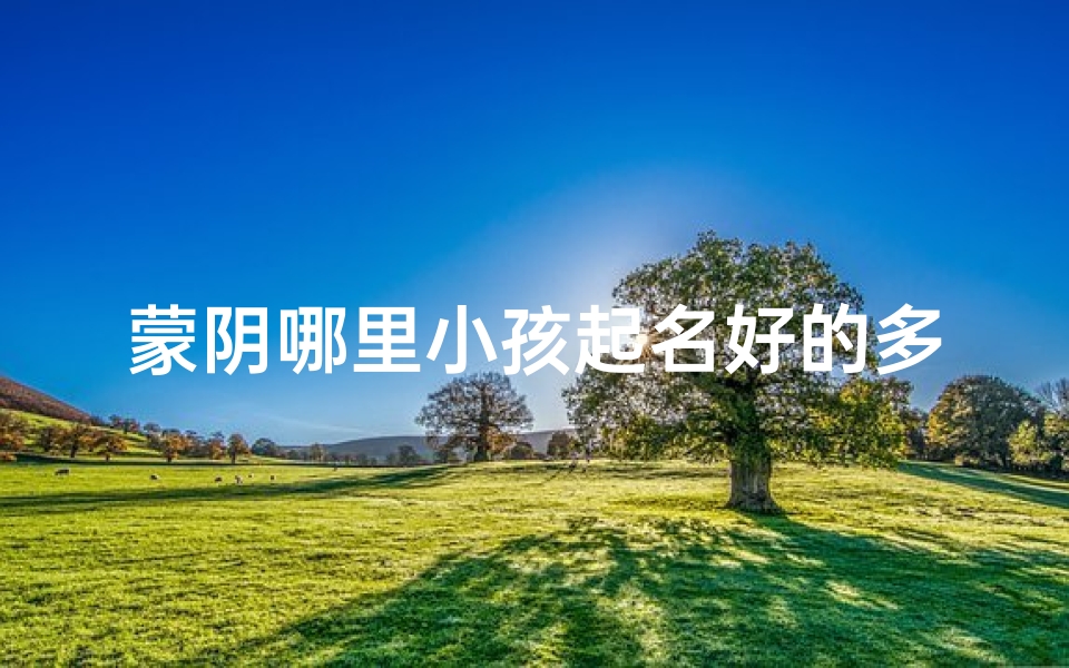 蒙阴哪里小孩起名好的多,蒙阴宝宝取名:传承地名之美,寓意童年幸福