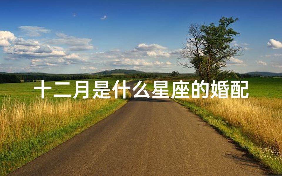 十二月是什么星座的婚配(十二生肖大历月婚配表,十二属相行嫁月表)
