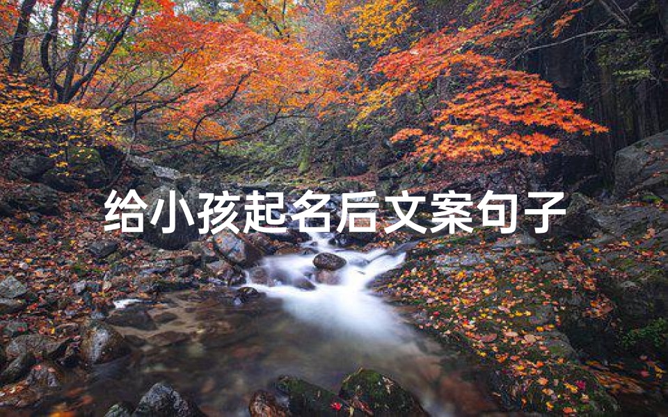 给小孩起名后文案句子