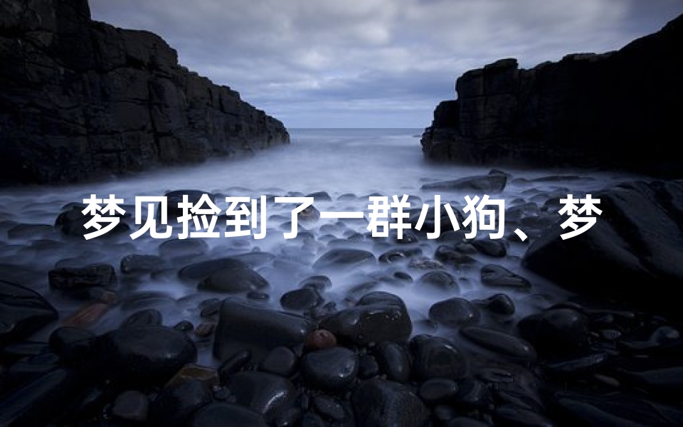 梦见捡到了一群小狗、梦见捡了很多小狗狗