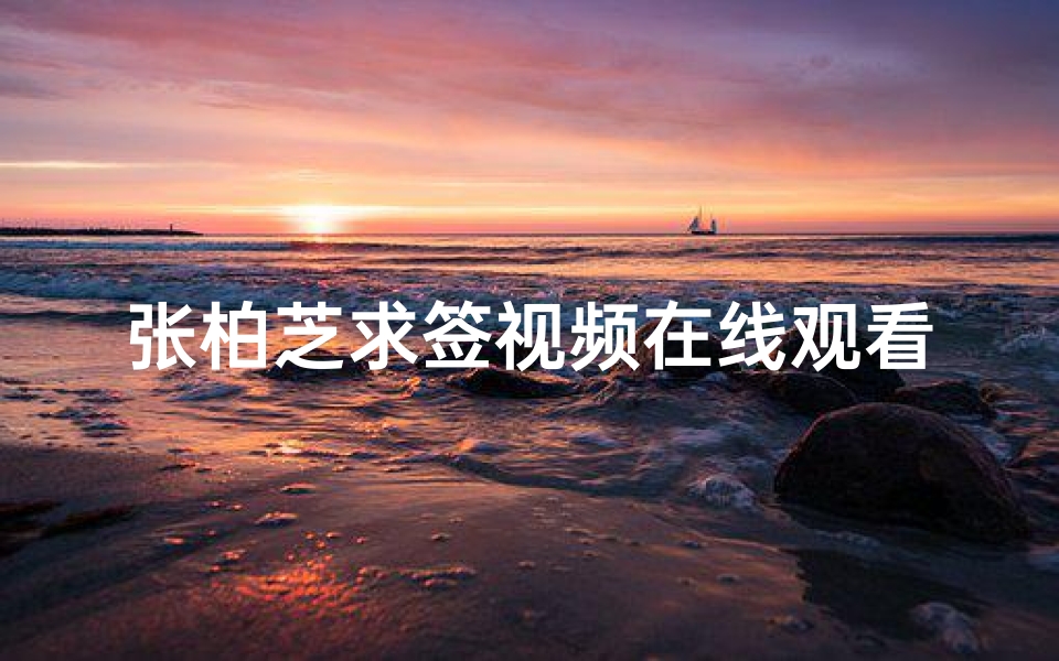 张柏芝求签视频在线观看,揭秘明星求签背后的故事