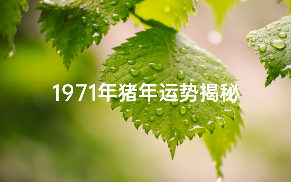 1971年猪年运势揭秘:财运亨通,事业腾飞