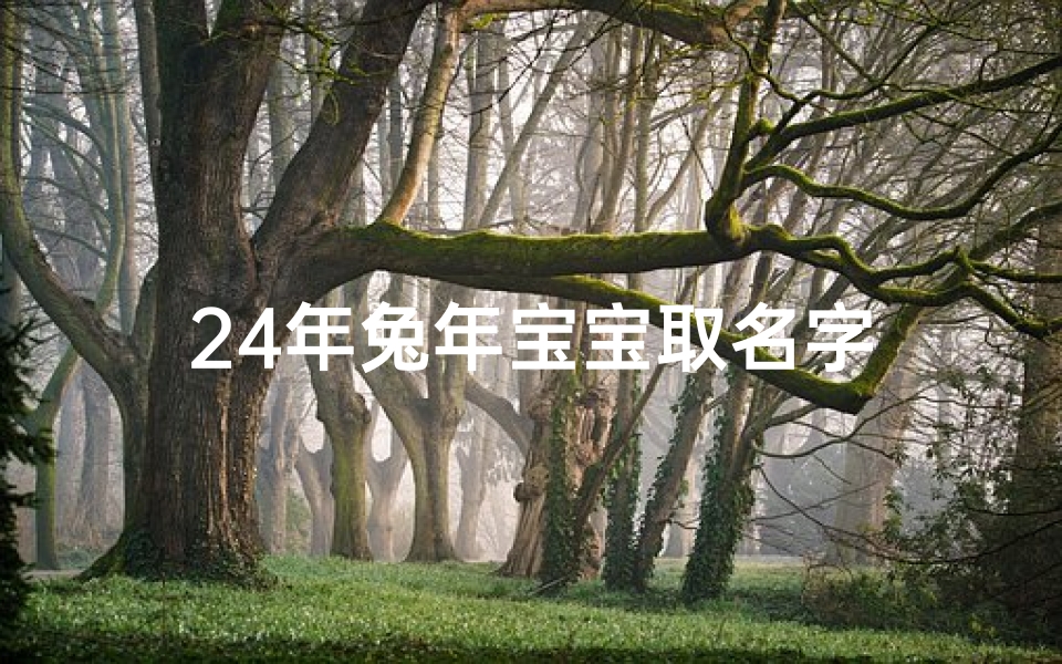 24年兔年宝宝取名字