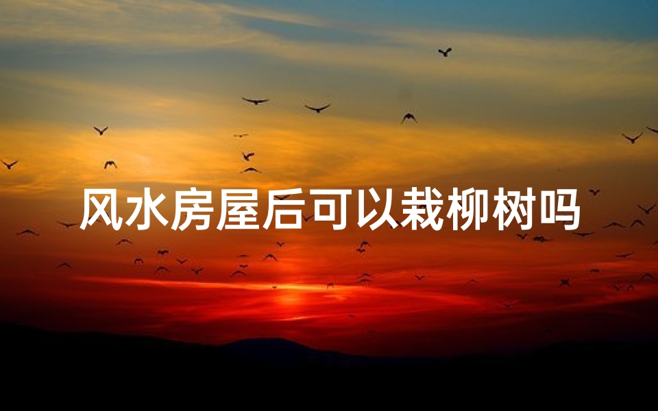 风水房屋后可以栽柳树吗