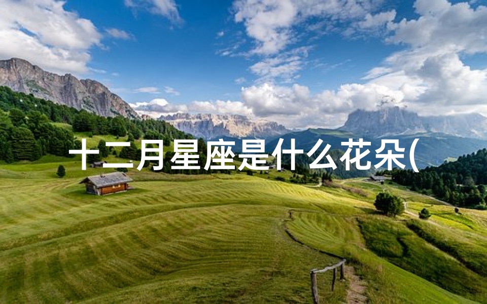 十二月星座是什么花朵(十二星座像什么花)