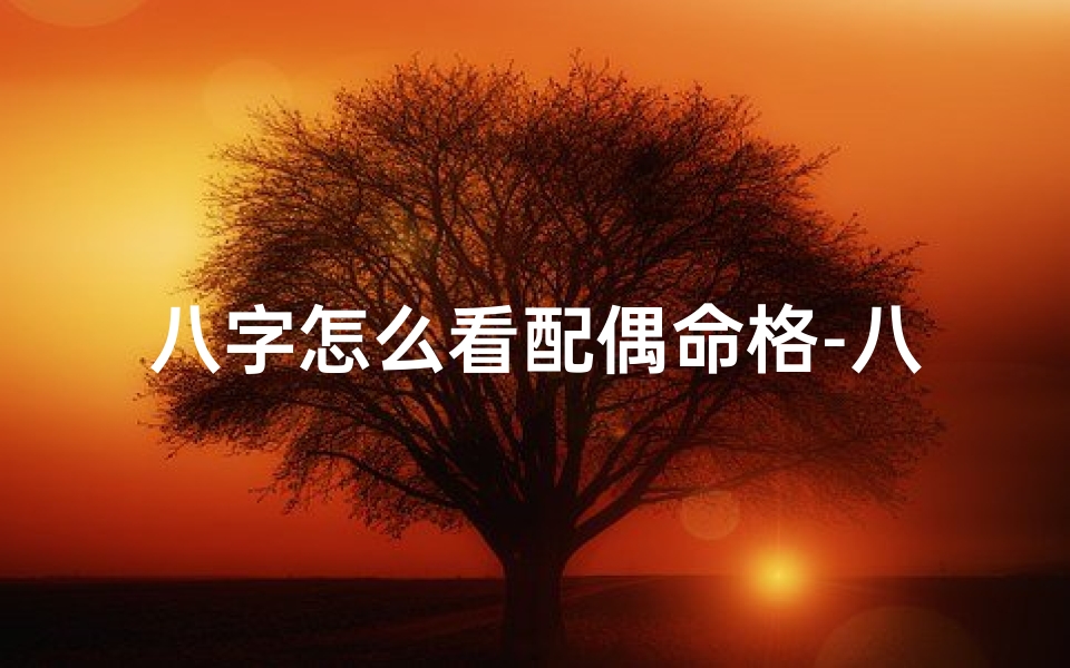 八字怎么看配偶命格-八字如何看配偶性格