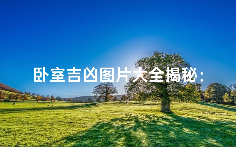 卧室吉凶图片大全揭秘:家居风水布局指南