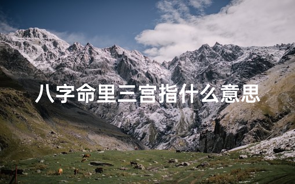 八字命里三宫指什么意思;八字命理揭秘:三宫究竟指何方?