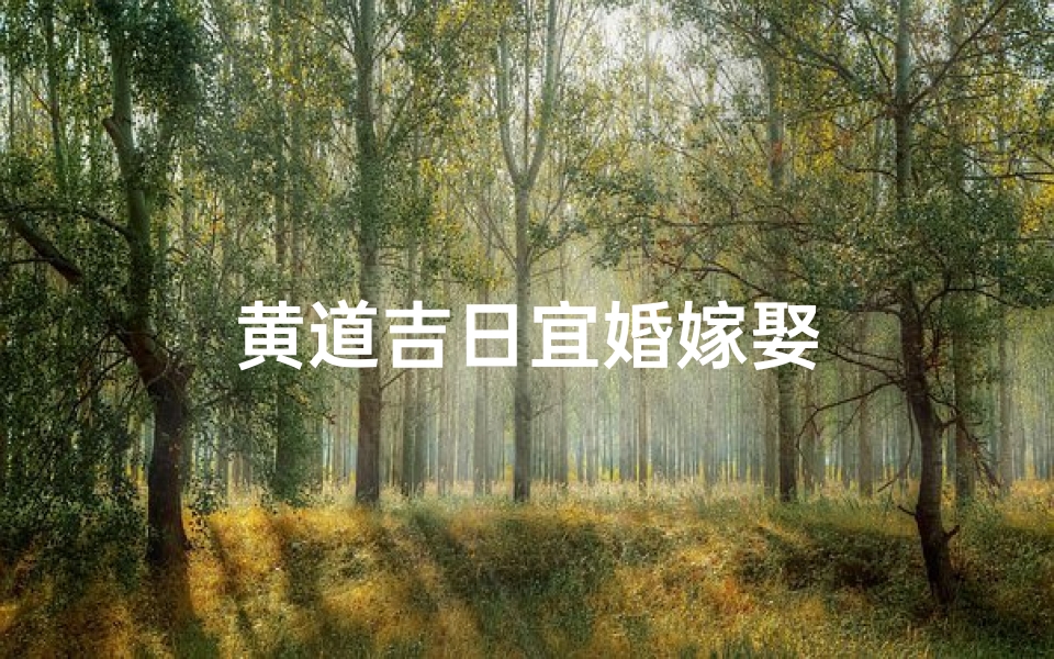 黄道吉日宜婚嫁娶