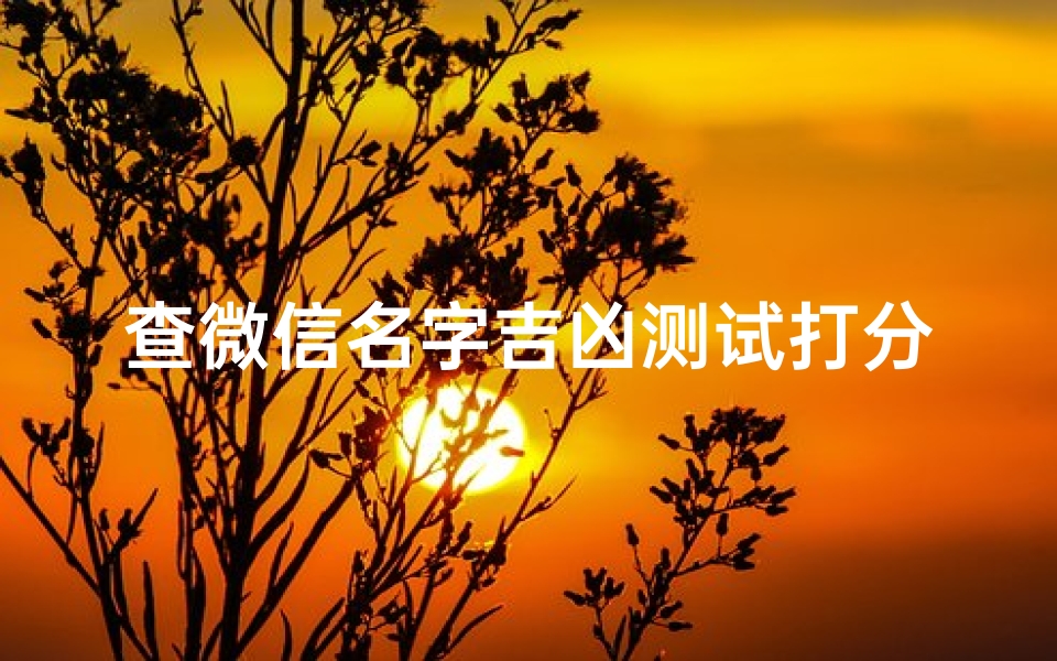 查微信名字吉凶测试打分(微信独这个名字好不好)