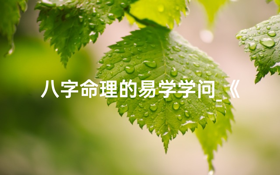 八字命理的易学学问_《八字命理揭秘:易学智慧之门》