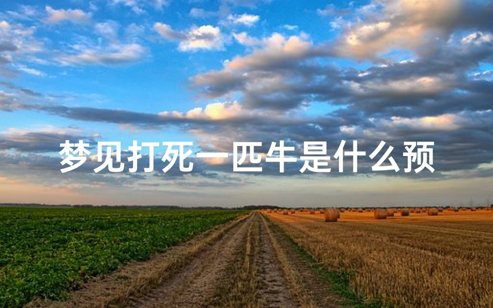 梦见打死一匹牛是什么预兆,梦见打死一匹牛是什么预兆呢