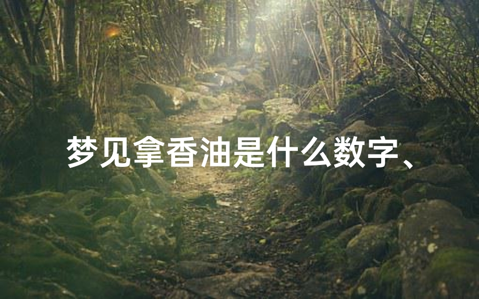 梦见拿香油是什么数字、做梦梦见香油