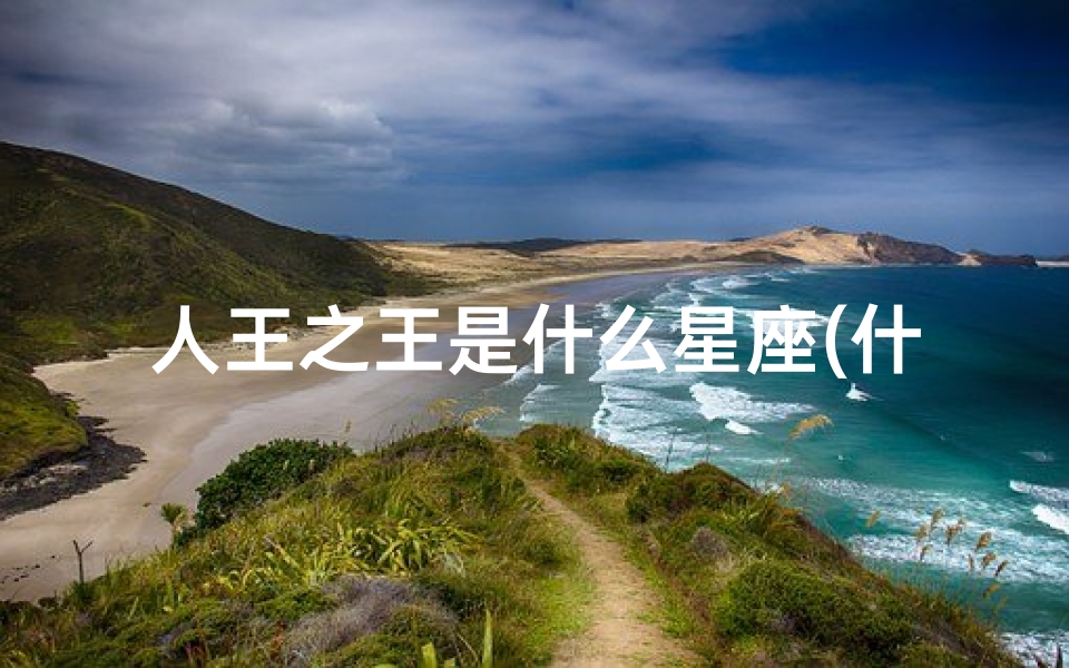 人王之王是什么星座(什么星座的人是王中之王 )