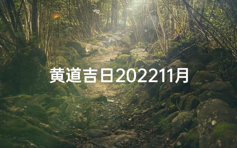 黄道吉日202211月