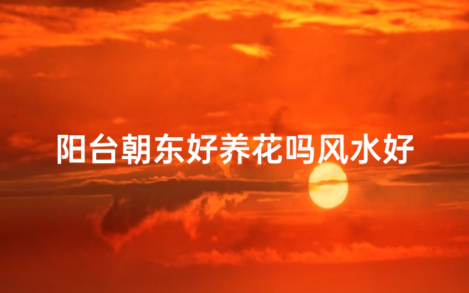 阳台朝东好养花吗风水好吗,阳台朝东好吗?