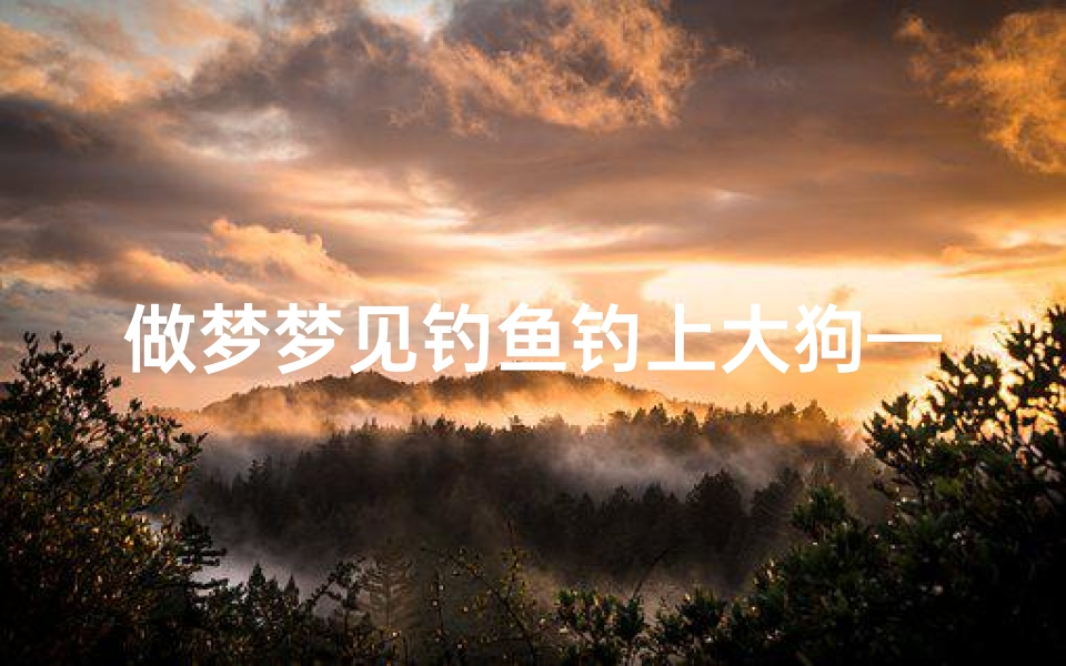 做梦梦见钓鱼钓上大狗—做梦梦见钓鱼钓上大狗了