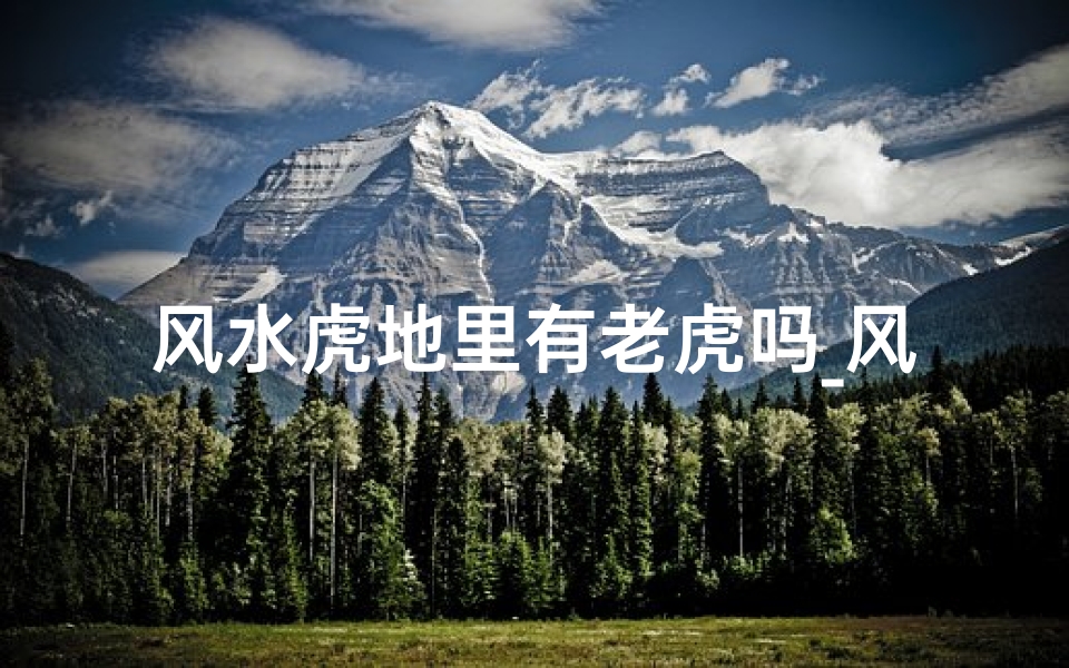 风水虎地里有老虎吗_风水虎地里有老虎吗为什么-东贵算卦网