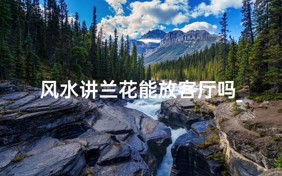 风水讲兰花能放客厅吗_兰花可以摆放在客厅吗?