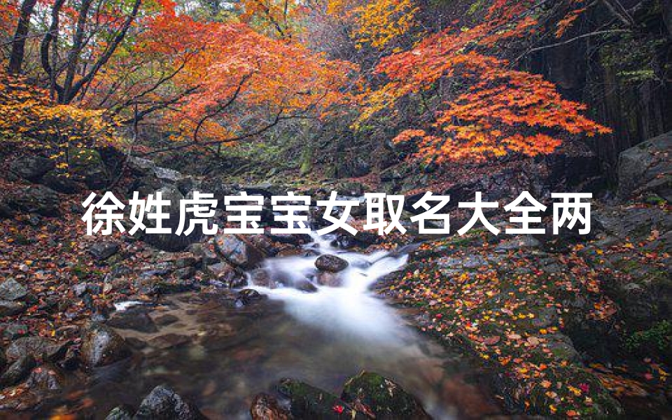 徐姓虎宝宝女取名大全两个字