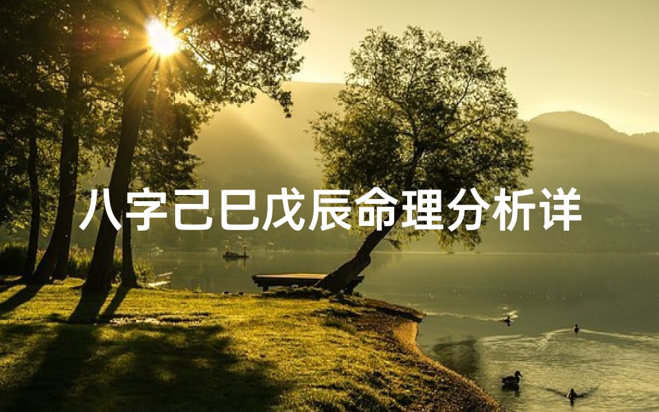 八字己巳戊辰命理分析详解-己巳戊辰戊申壬子八字如何