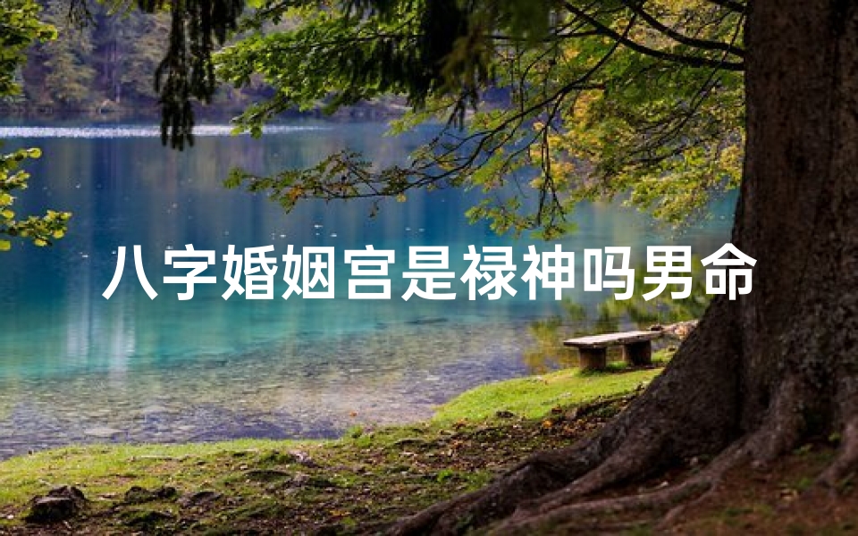 八字婚姻宫是禄神吗男命;八字婚姻宫是禄神吗男命好吗