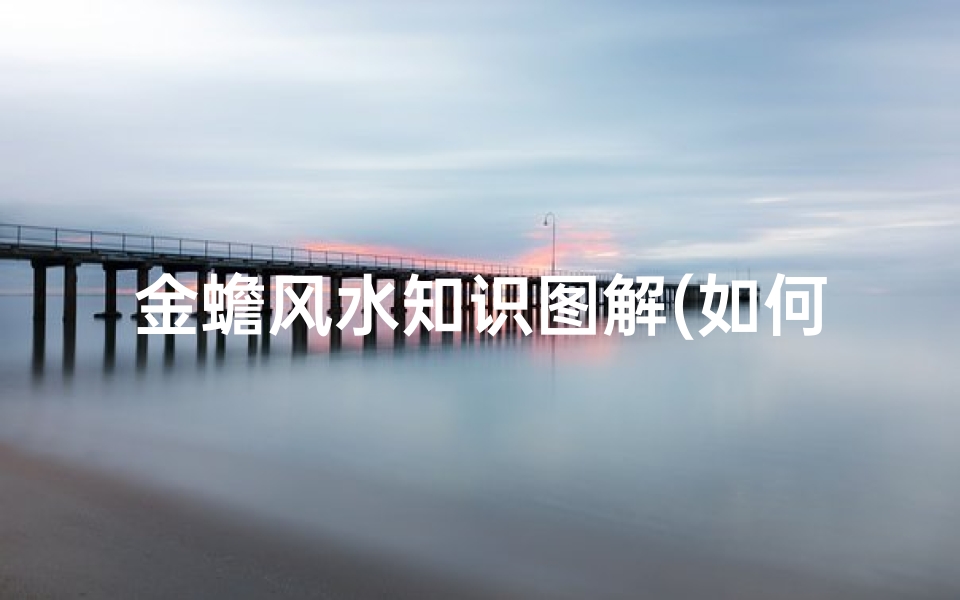 金蟾风水知识图解(如何正确摆放金蟾 )