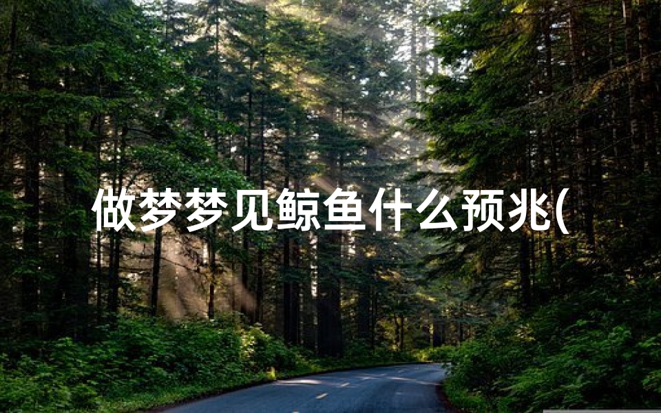 做梦梦见鲸鱼什么预兆(梦见鲸鱼是什么)