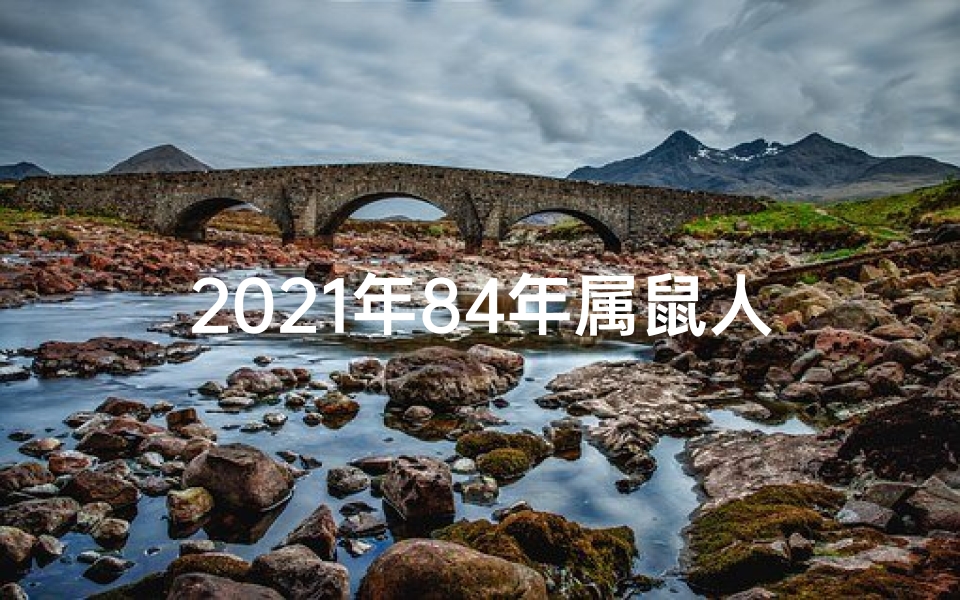 2021年84年属鼠人的全年运势男性-2024年属鼠男性运势详解:财运亨通,事业腾飞