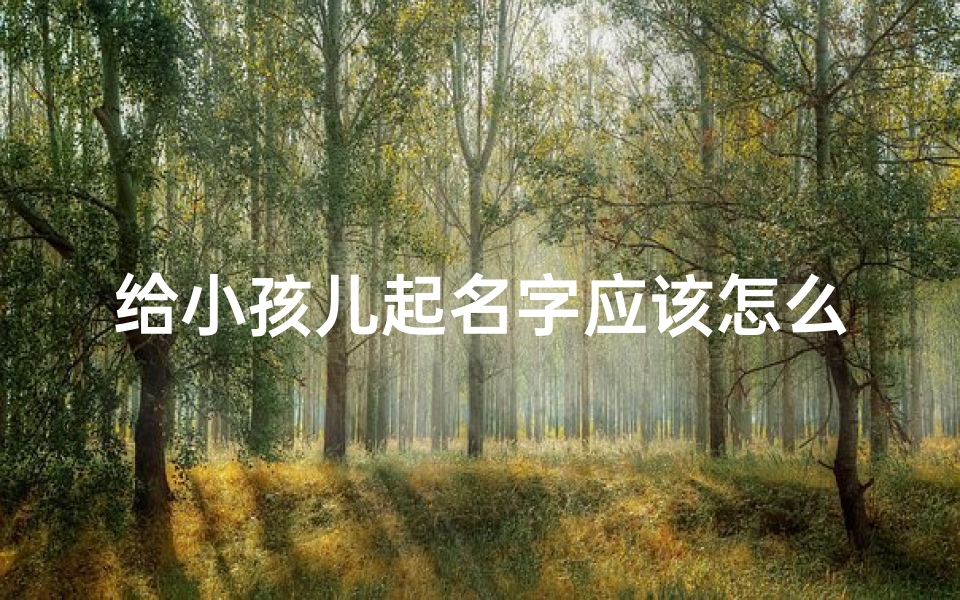 给小孩儿起名字应该怎么写?、《宝宝起名仪式邀请函:共庆新生美好时刻》