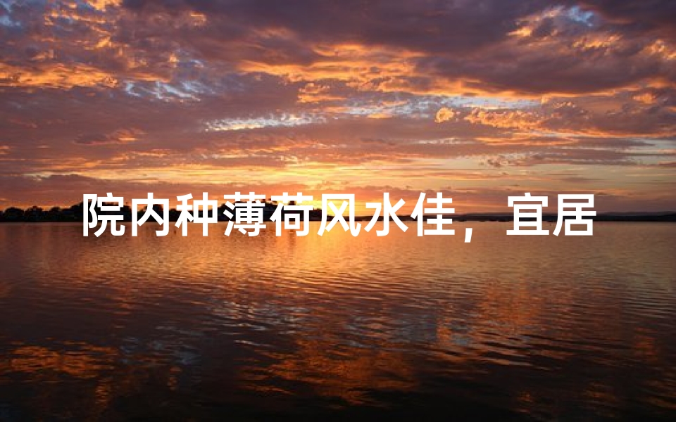 院内种薄荷风水佳,宜居宜养好选择
