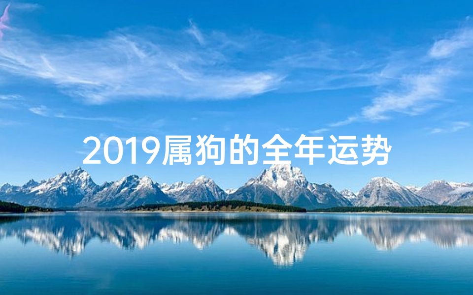 2019属狗的全年运势如何;2019狗年运势详解:财运事业两旺攻略