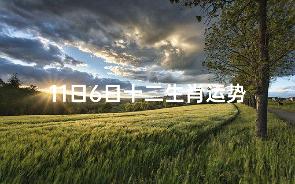 11日6日十二生肖运势