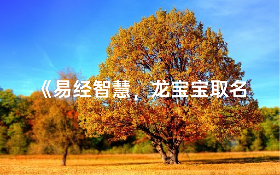 《易经智慧,龙宝宝取名新风尚》
