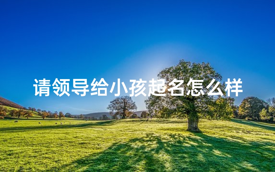 请领导给小孩起名怎么样;领导助力,为宝宝起名大作战