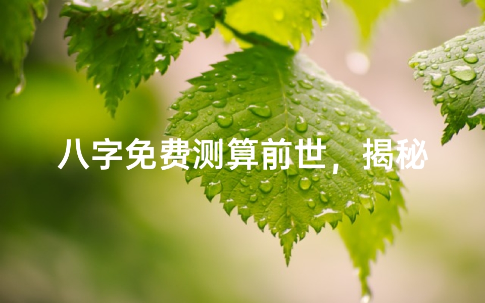 八字免费测算前世,揭秘你的前世今生之谜
