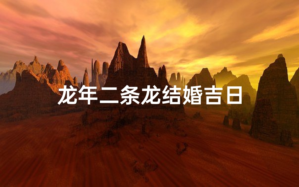 龙年二条龙结婚吉日