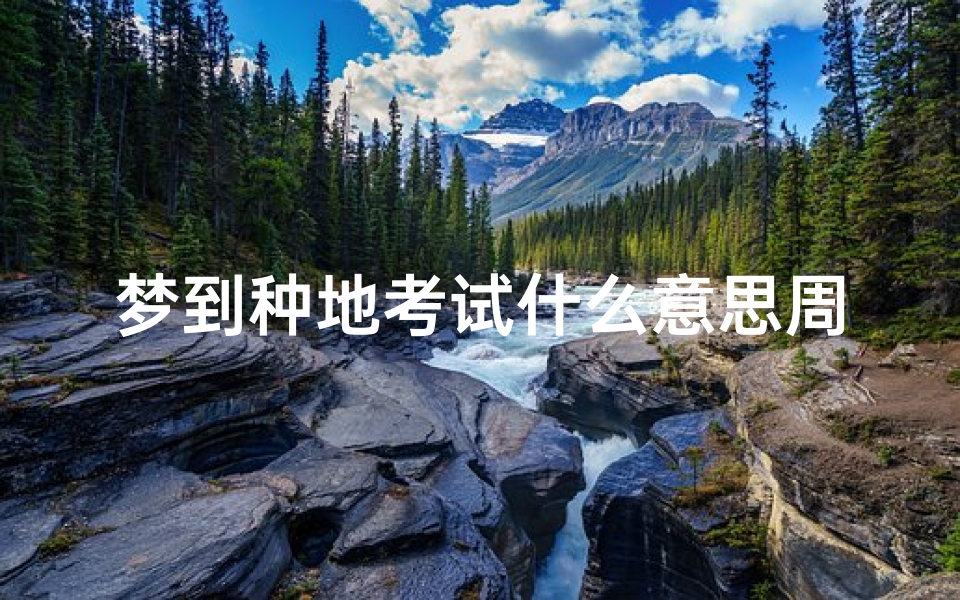 梦到种地考试什么意思周公解梦(梦见种田种地是什么意思)