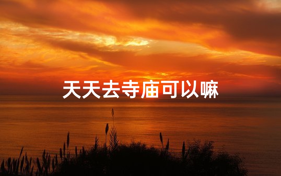 天天去寺庙可以嘛