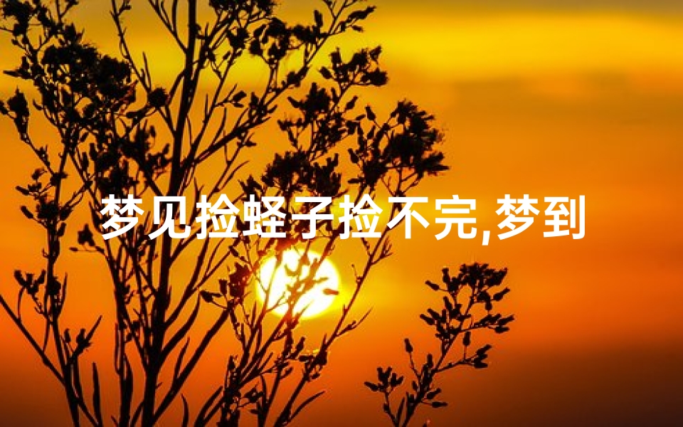 梦见捡蛏子捡不完,梦到捡蛏子